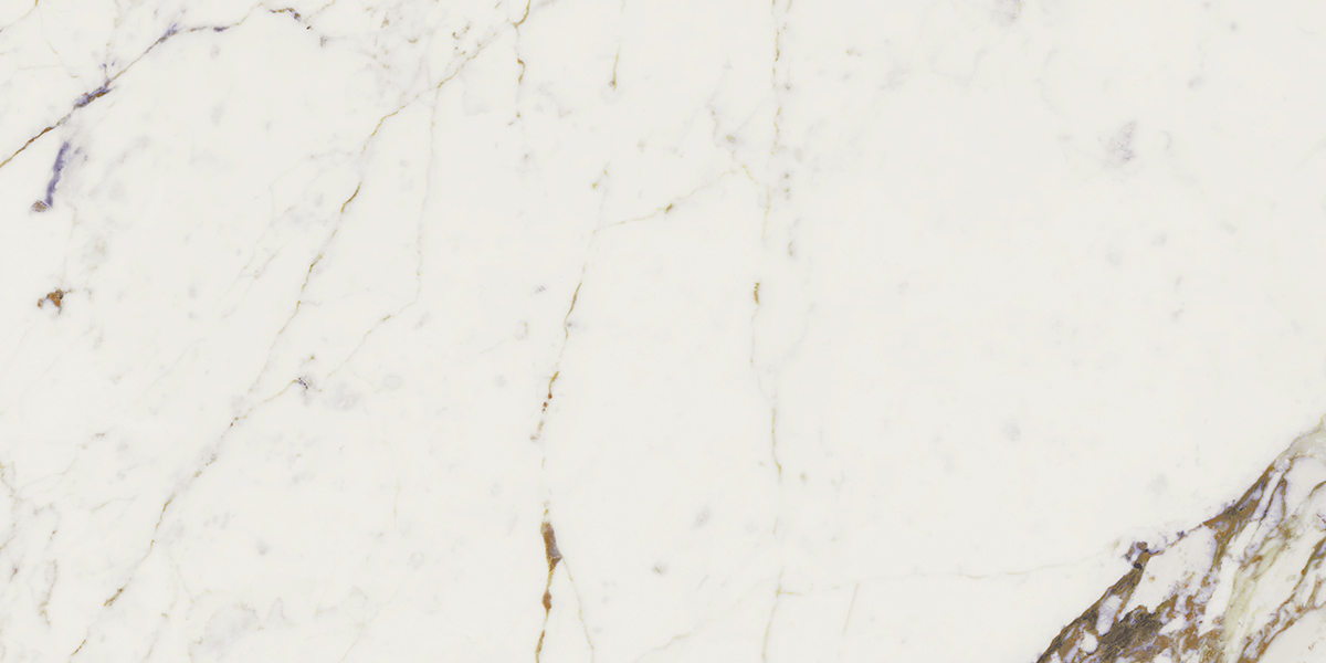 CALACATTA VIOLA POLISHED 634